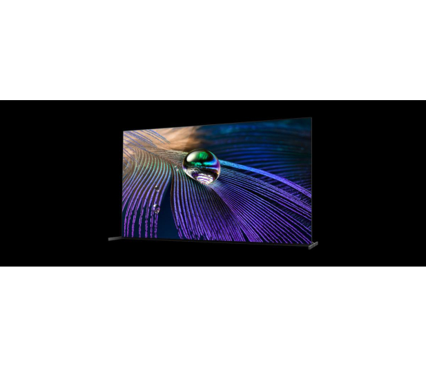 Sony XR-55A90J - 658903 - zdjęcie 20